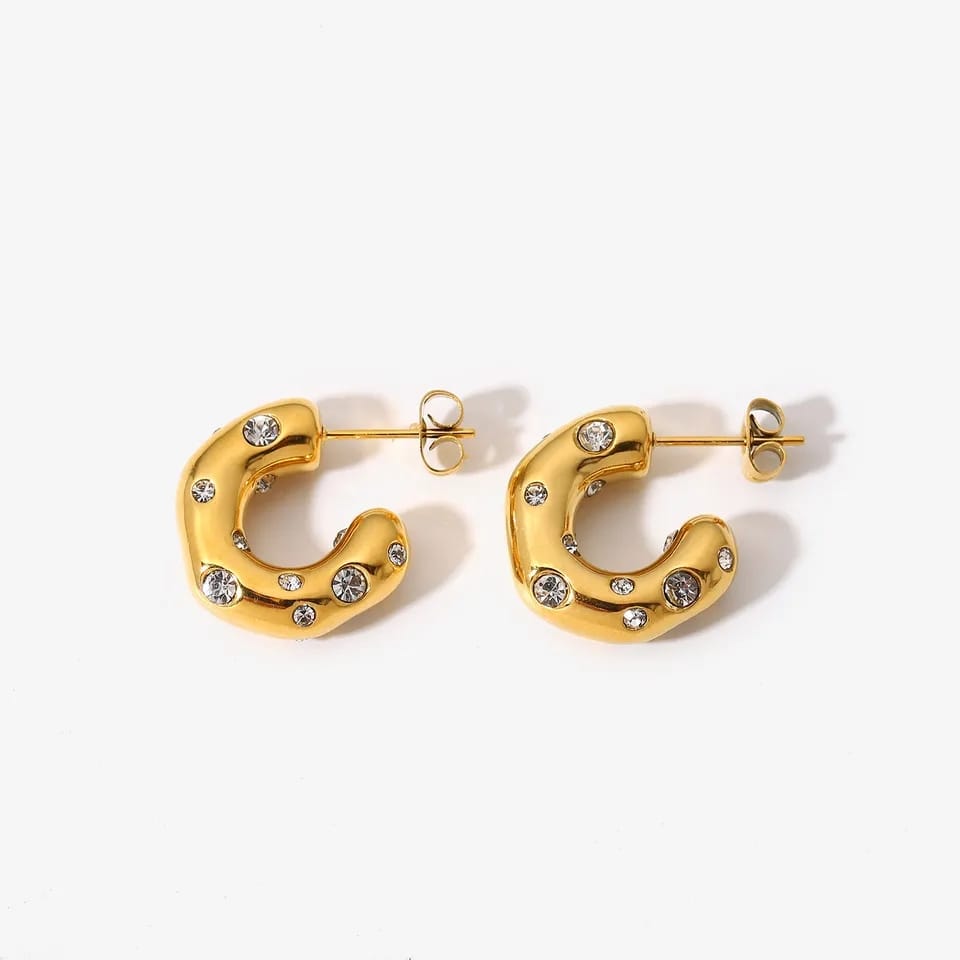 Celine Earrings