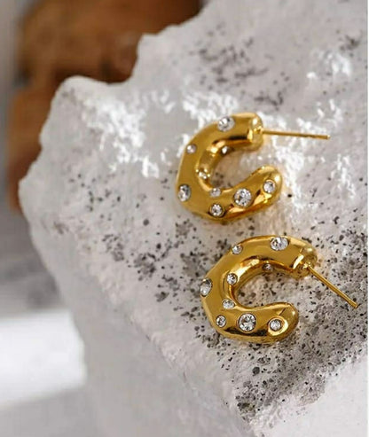 Celine Earrings