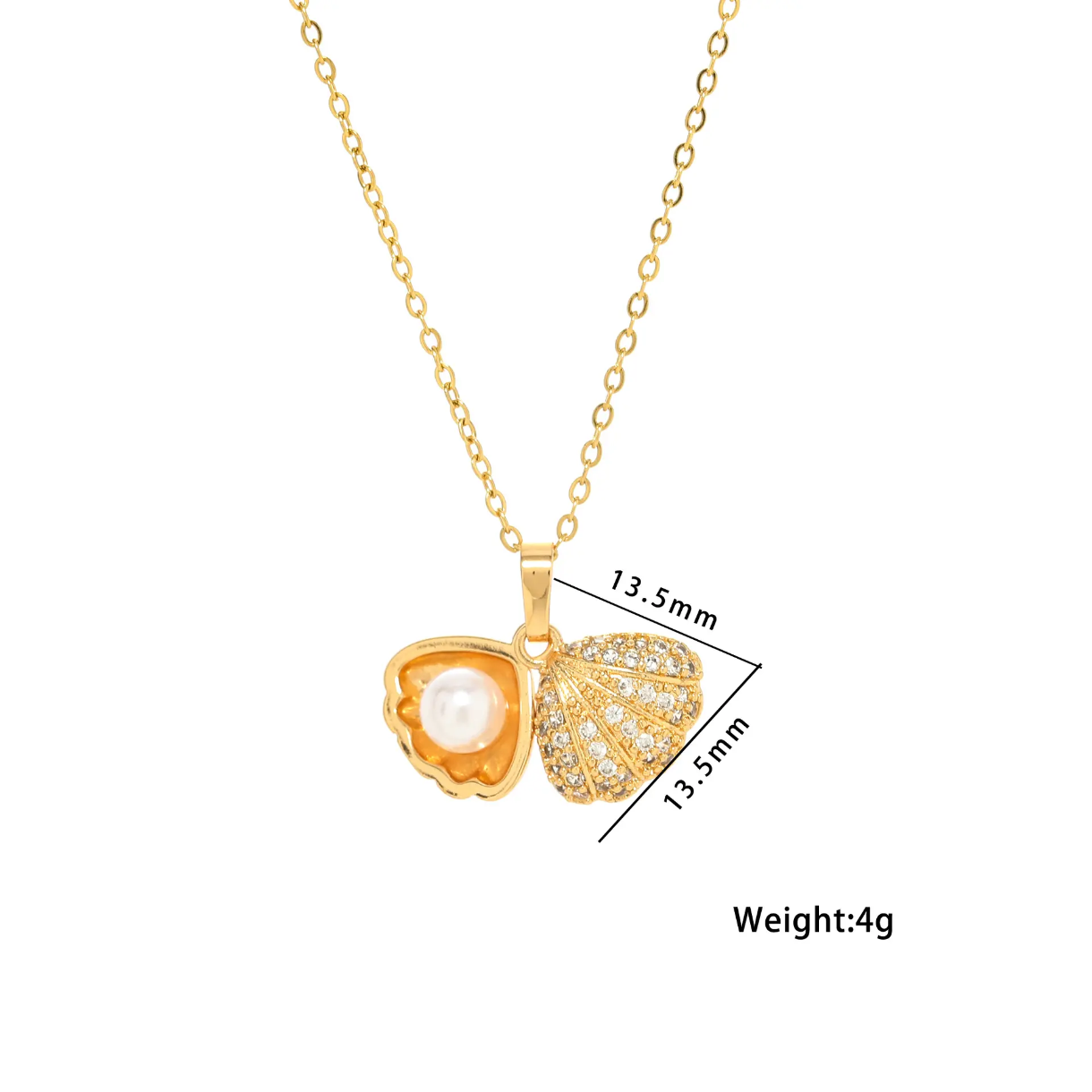 Sea-Shell Necklace